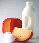 �и߿�Ӫ��ָ��