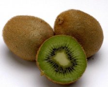 ��Ҫ�������� �͵ó�⨺���