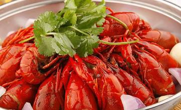 �����������ѧУ