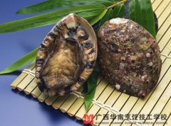 ������鱫��2������