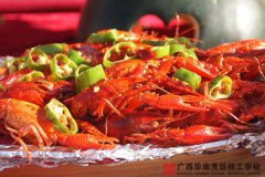 ������Ϻ